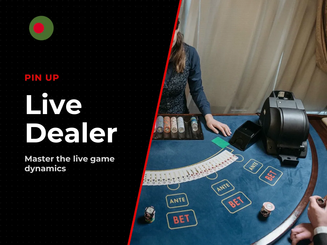 How the Live Dealer Shapes Pace and Format. The dealer acts as the primary moderator of each session: they set the rhythm, announce the end of the betting window, and commentate throughout. Unlike slo