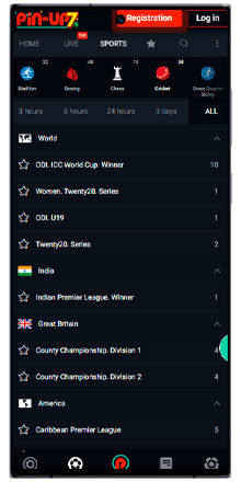 pin up bet cricket