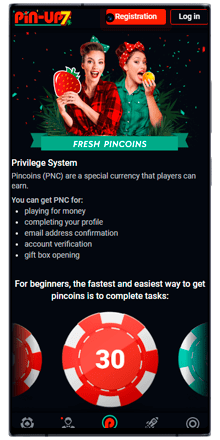 pin up pincoins